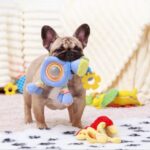 Pet Toys That’ll Last For More Than a Day