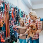 What’s Important to Look for in Pet Leashes
