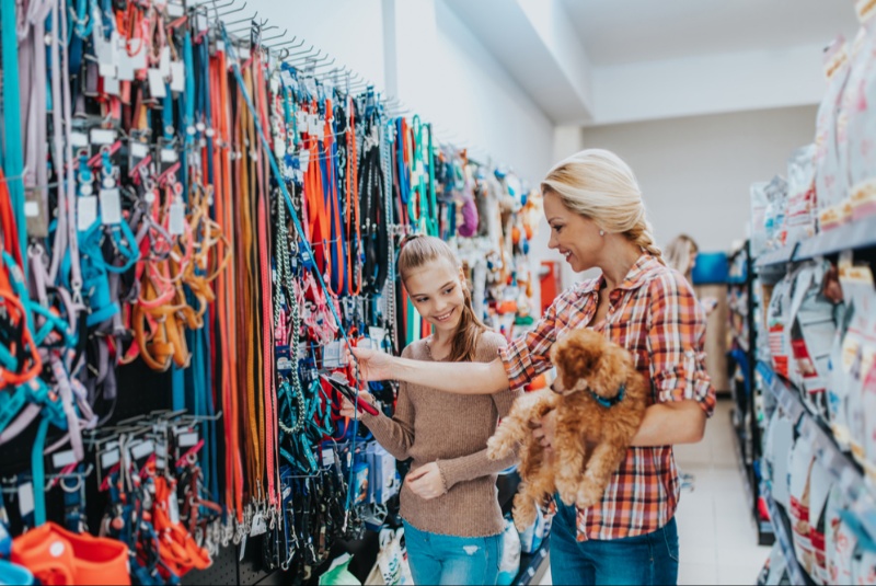 What’s Important to Look for in Pet Leashes