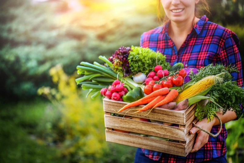 Organic Produce Don’t Have to Cost an Arm and a Leg