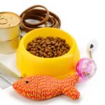 Show your Pets you Love Them Without Spending a Fortune